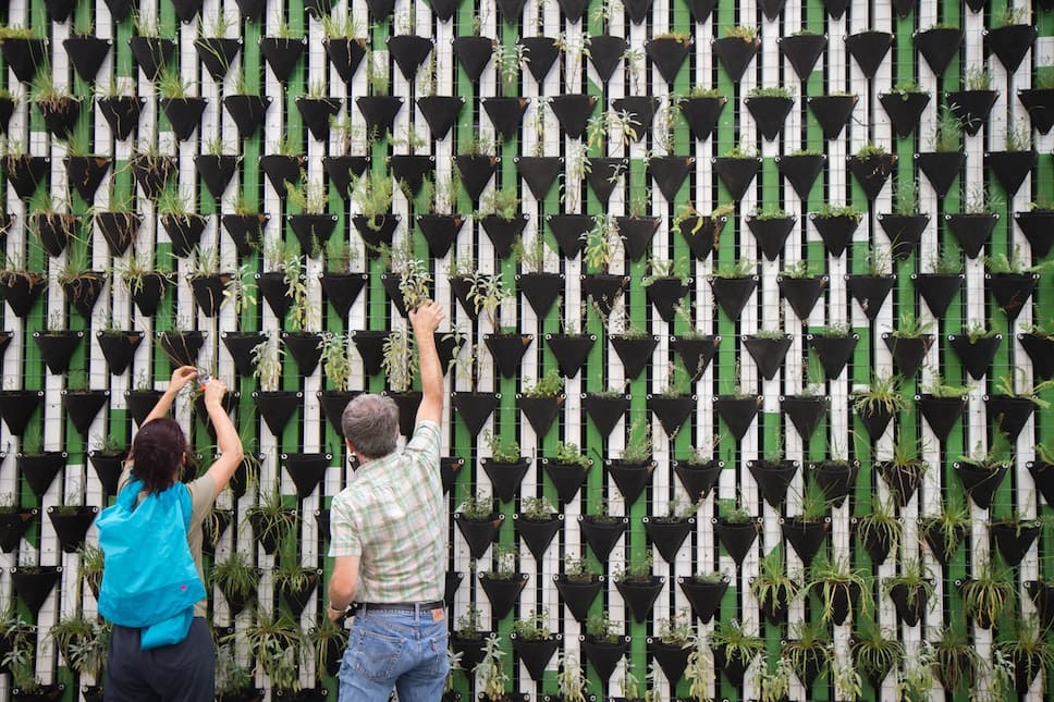 The London Festival of Architecture